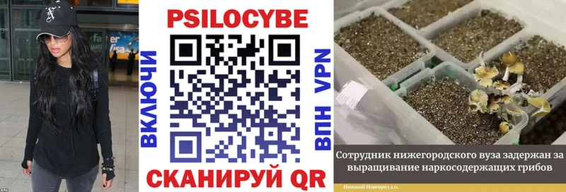 Псилоцибиновые грибы ЛСД  Купить  Строитель 